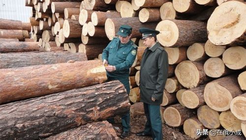 木材工业产品占托木斯克州出口总额的50.2%.