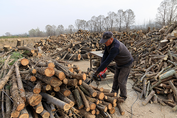 生物质燃料厂工人切割运来的木材